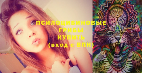 героин Богородицк