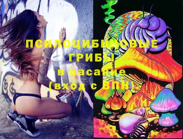 мдма Богданович