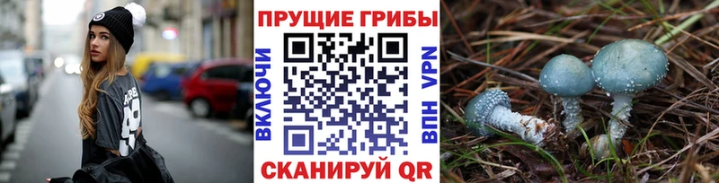 Галлюциногенные грибы прущие грибы  Купить где  Топки 